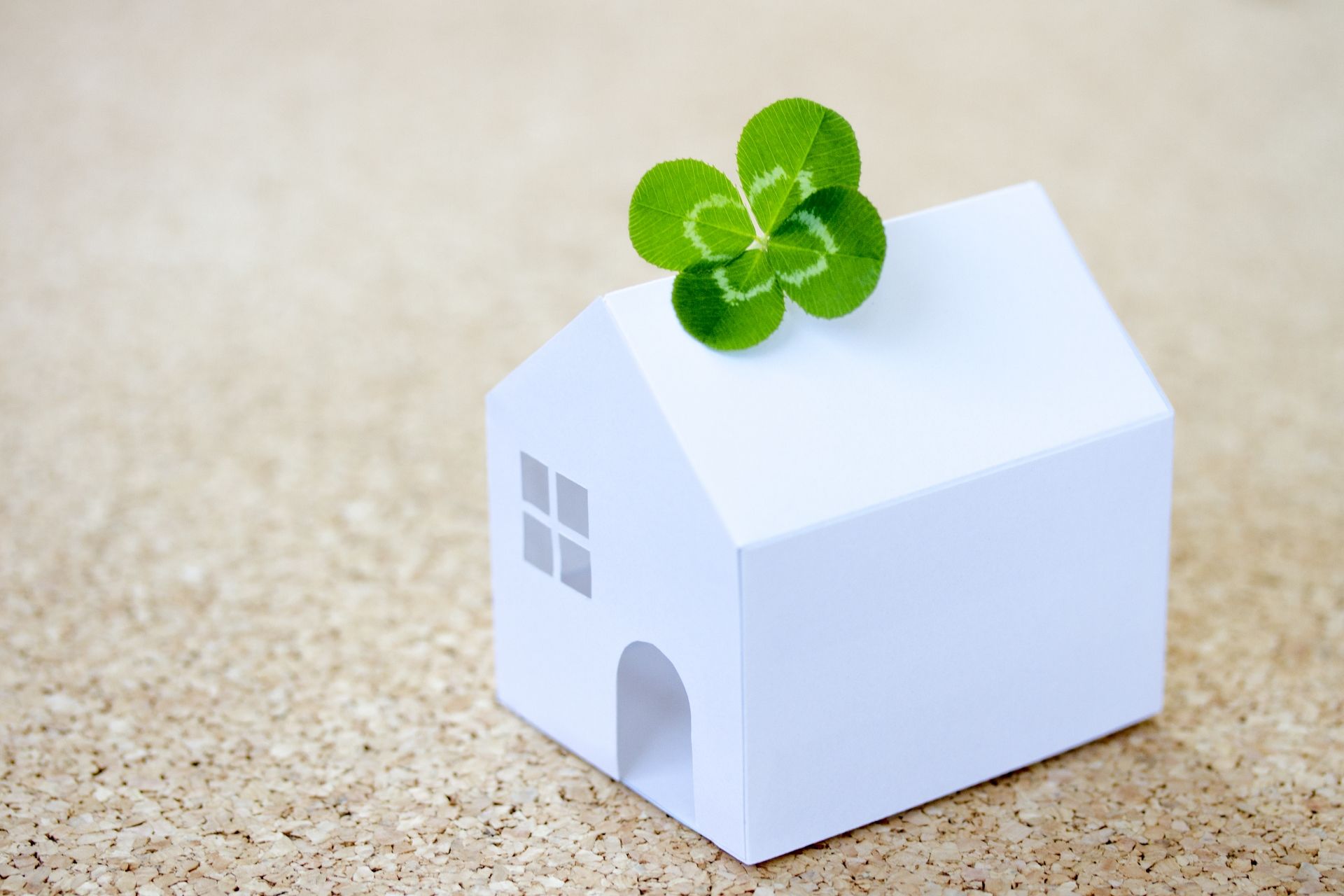 家とクローバー